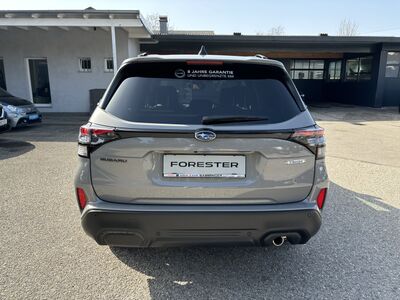 Subaru Forester Vorführwagen Subaru Forester Vorführwagen