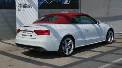 Audi A5 Gebrauchtwagen