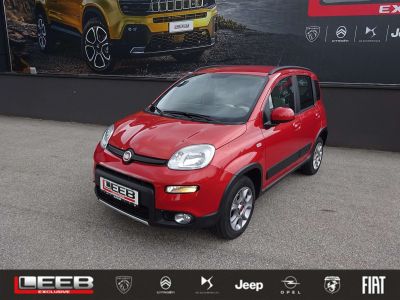 Fiat Panda Gebrauchtwagen
