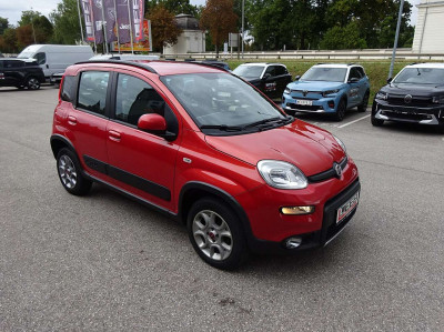 Fiat Panda Gebrauchtwagen Fiat Panda Gebrauchtwagen
