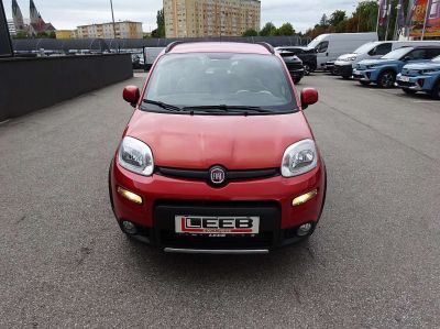 Fiat Panda Gebrauchtwagen