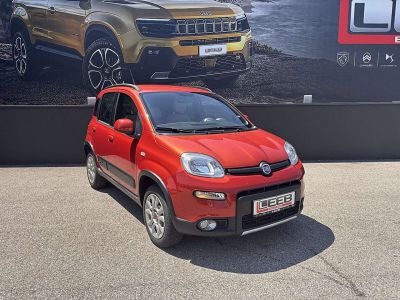 Fiat Panda Gebrauchtwagen Fiat Panda Gebrauchtwagen