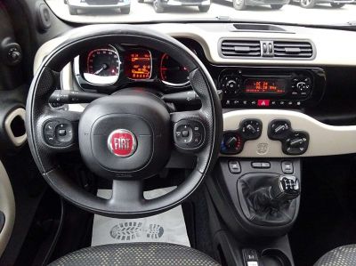 Fiat Panda Gebrauchtwagen