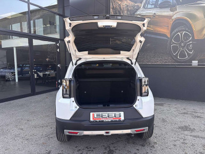 Fiat Grande Panda Gebrauchtwagen