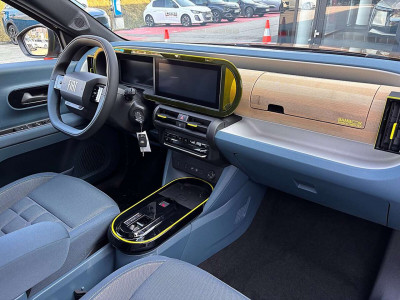 Fiat Grande Panda Gebrauchtwagen