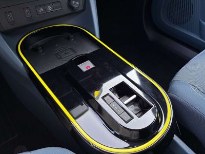 Fiat Grande Panda Gebrauchtwagen