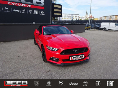 Ford Mustang Gebrauchtwagen