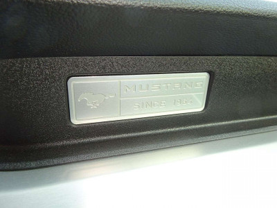 Ford Mustang Gebrauchtwagen