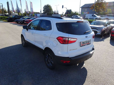 Ford EcoSport Gebrauchtwagen Ford EcoSport Gebrauchtwagen