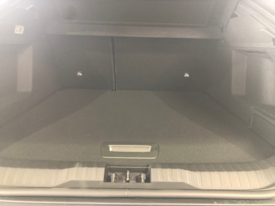 Renault Arkana Tageszulassung