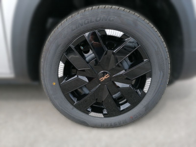 Dacia Spring Vorführwagen