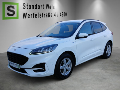 Ford Kuga Gebrauchtwagen