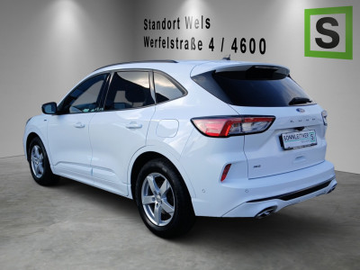 Ford Kuga Gebrauchtwagen