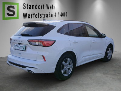 Ford Kuga Gebrauchtwagen