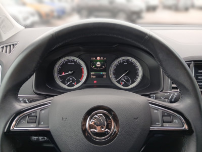 Skoda Karoq Gebrauchtwagen