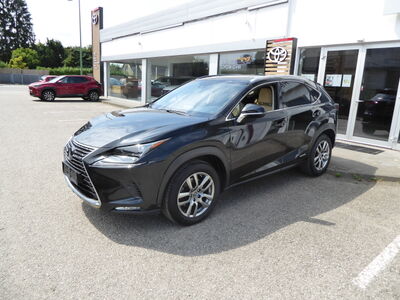 Lexus NX Gebrauchtwagen