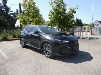 Lexus NX Tageszulassung