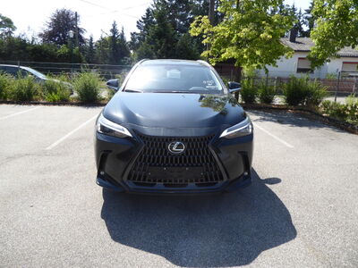 Lexus NX Tageszulassung