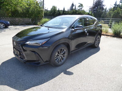 Lexus NX Tageszulassung