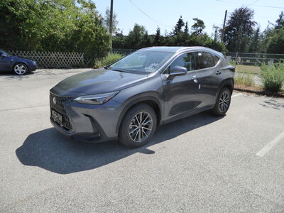 Lexus NX Tageszulassung