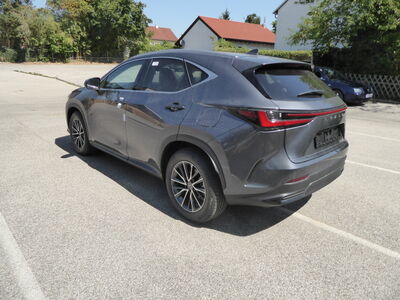 Lexus NX Tageszulassung