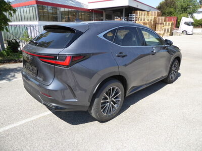 Lexus NX Tageszulassung