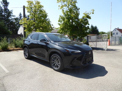 Lexus NX Tageszulassung