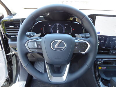 Lexus NX Tageszulassung