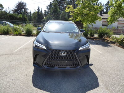 Lexus NX Tageszulassung