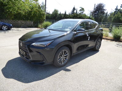 Lexus NX Tageszulassung