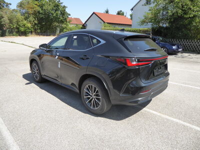 Lexus NX Tageszulassung