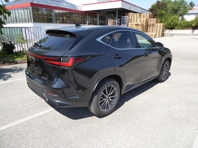 Lexus NX Tageszulassung