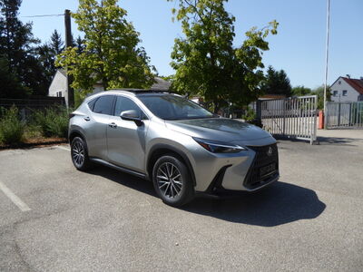 Lexus NX Tageszulassung