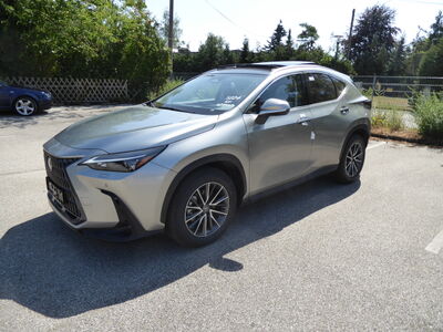 Lexus NX Tageszulassung