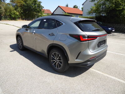 Lexus NX Tageszulassung