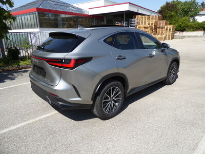 Lexus NX Tageszulassung