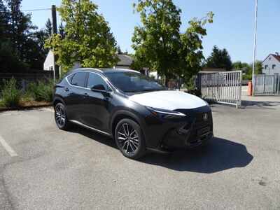 Lexus NX Tageszulassung