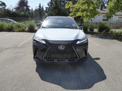 Lexus NX Tageszulassung