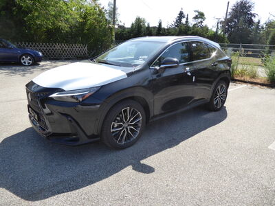 Lexus NX Tageszulassung