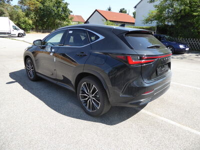 Lexus NX Tageszulassung