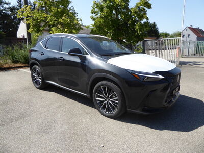 Lexus NX Tageszulassung