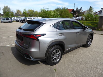 Lexus NX Gebrauchtwagen