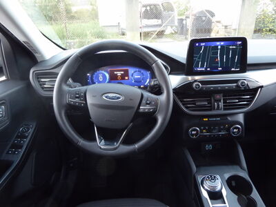 Ford Kuga Gebrauchtwagen
