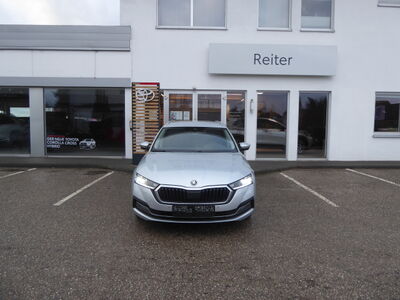 Skoda Octavia Gebrauchtwagen