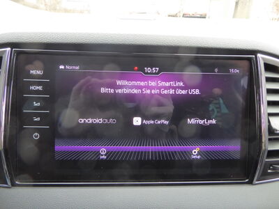 Skoda Karoq Gebrauchtwagen