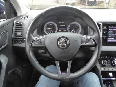 Skoda Karoq Gebrauchtwagen