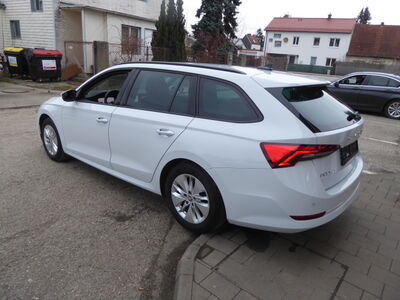 Skoda Octavia Gebrauchtwagen