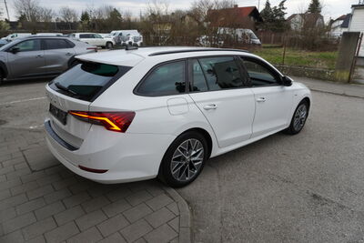 Skoda Octavia Gebrauchtwagen