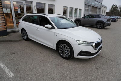 Skoda Octavia Gebrauchtwagen