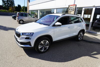 Skoda Karoq Gebrauchtwagen